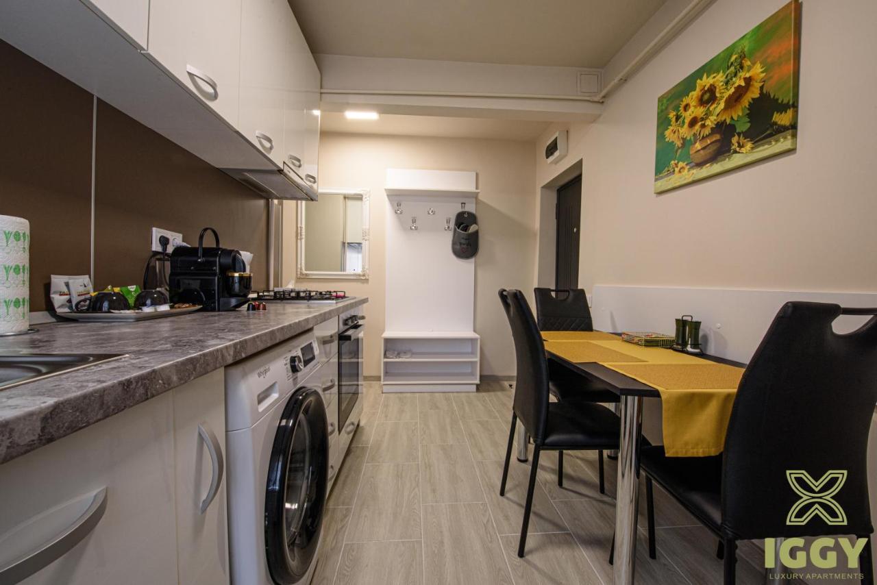 Iggy Luxury Apartment Хунедоара Екстер'єр фото