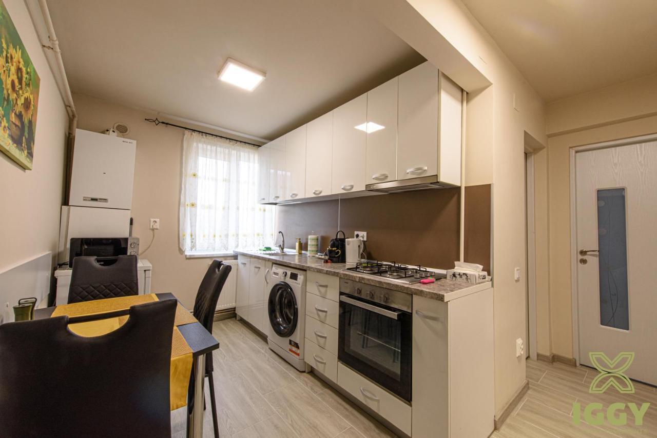 Iggy Luxury Apartment Хунедоара Екстер'єр фото