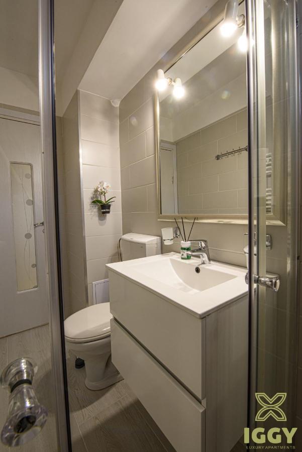 Iggy Luxury Apartment Хунедоара Екстер'єр фото